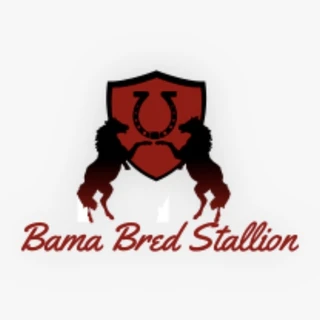 Bamabredstallion