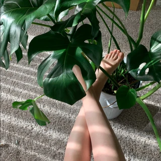 Barbzorrrs Feet