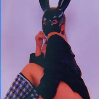 Bunny