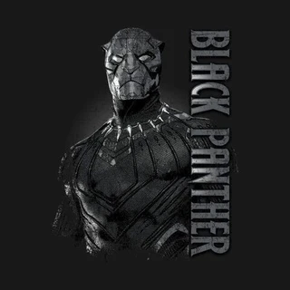 Black Panther Marvel