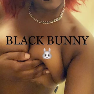 Black Bunny 