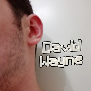 David Wayne