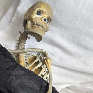 Dead Sexy Bones