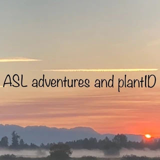 ASL plantID