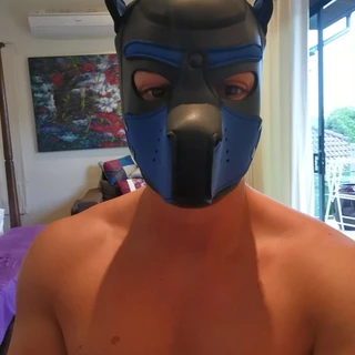 Dogman