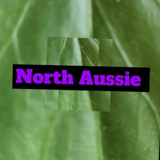 North Aussie