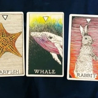 Kiki Feliz Tarot