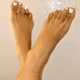 Foot Model