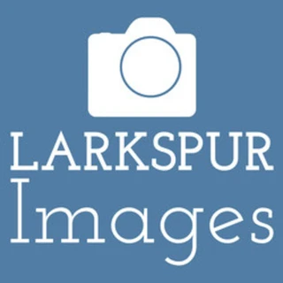 Larkspur_Images