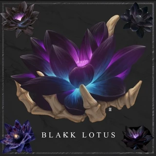 Blakk Lotus