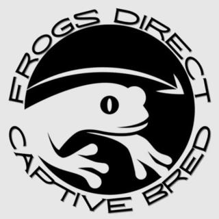 Onlyfrogs