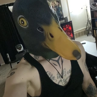 Jay D Quackers