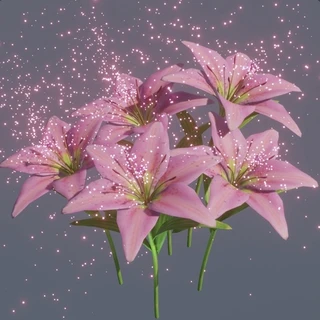 Pink_Lily