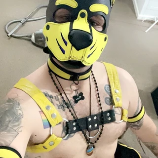 Pup_Coops