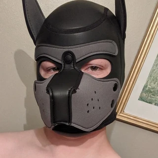 Pup Jackal