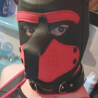 Puppy_onyx