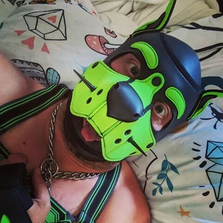 Pup Rex Urhole