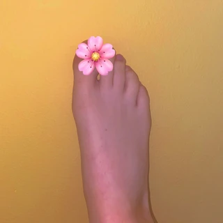 FourFeetTwoGirls