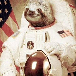 Space Sloth