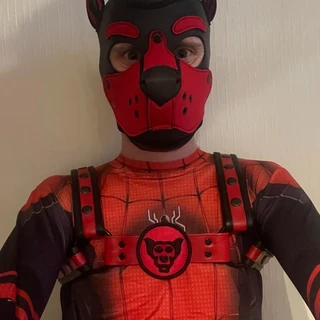 Spidey-Pup