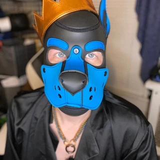 Starr_Pup