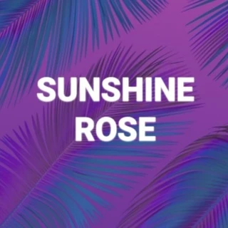 Sunshine Rose