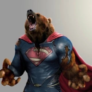 Superbear Videos