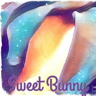 SweetBunny