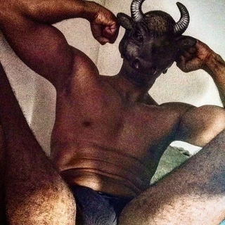 The Bull Guy