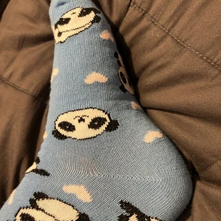 Only Socks