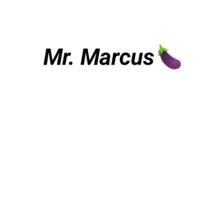 Mr. Marcus