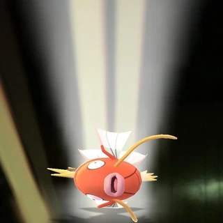 karp karp