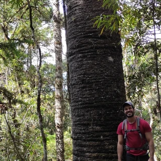 Lucas de Camargo Souza