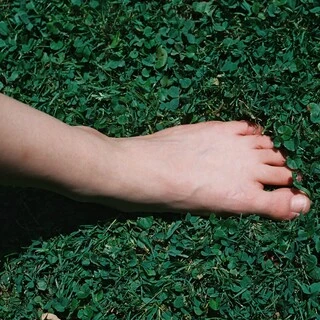 Nymph Feet