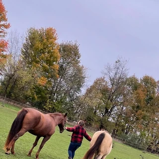 Naughty Farm Girl Fun