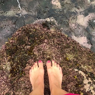 TenTinyToes