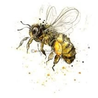 Honey Bee 