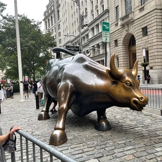 Wall Street Bully