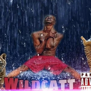 wildcatt420 