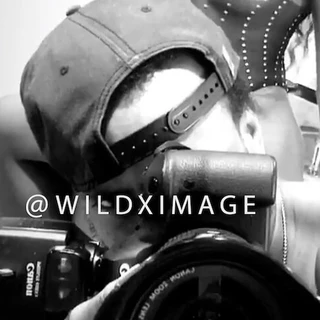 Wildximage